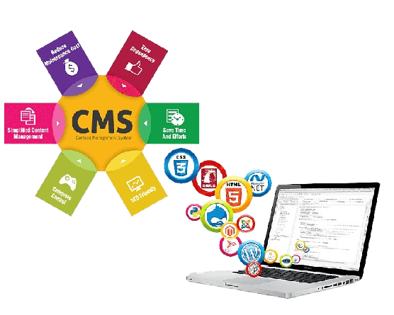 CMS (Content Management System) Development